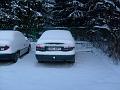 IMG_7808