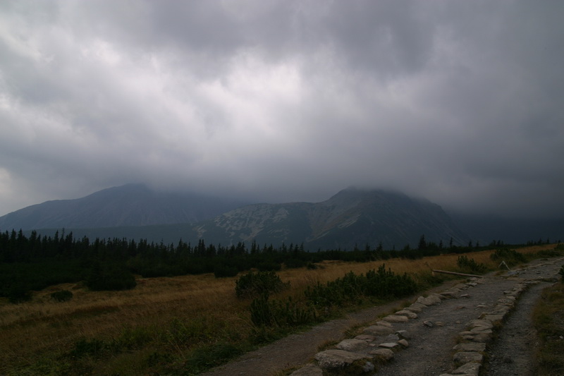 IMG_0799.JPG