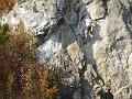 PA170023_resize