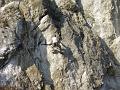 PA170025_resize
