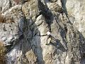 PA170026_resize