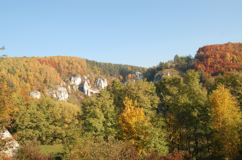 DSC_0007_resize.JPG