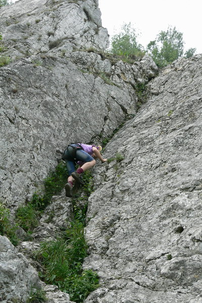 P1030699_resize.JPG