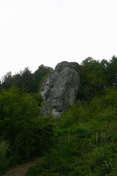 P1030717_resize.JPG