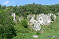 P1030546_resize