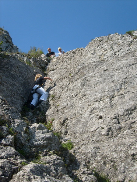 S6302588.JPG