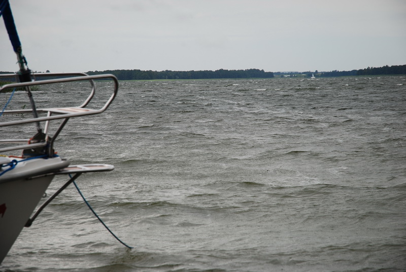 DSC_0336.JPG